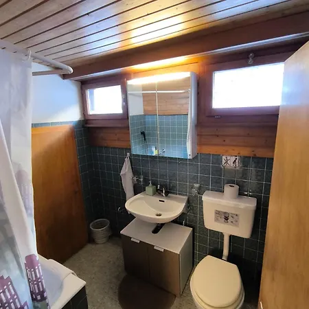 Petunia In Swiss Alps Appartement