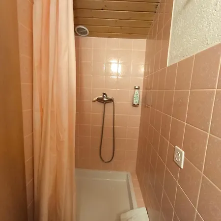 Petunia In Swiss Alps Lejlighed Saas-Grund