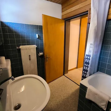 Petunia In Swiss Alps *