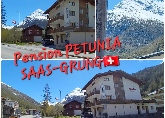 Petunia In Swiss Alps Apartment *
