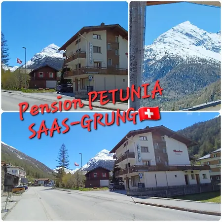Petunia In Swiss Alps Appartement *